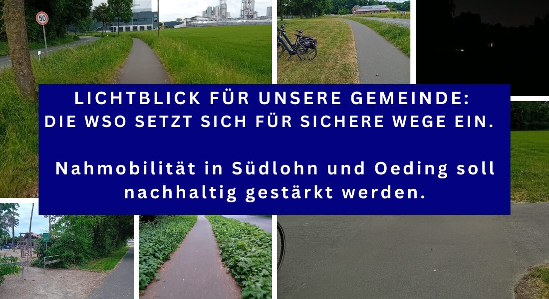 Lichtblick für unsere Gemeinde: Die WSO engagiert sich für moderne und sichere Wege, wie das geplante Lichtband an der K 21, das die Nahmobilität in Südlohn und Oeding nachhaltig stärkt.